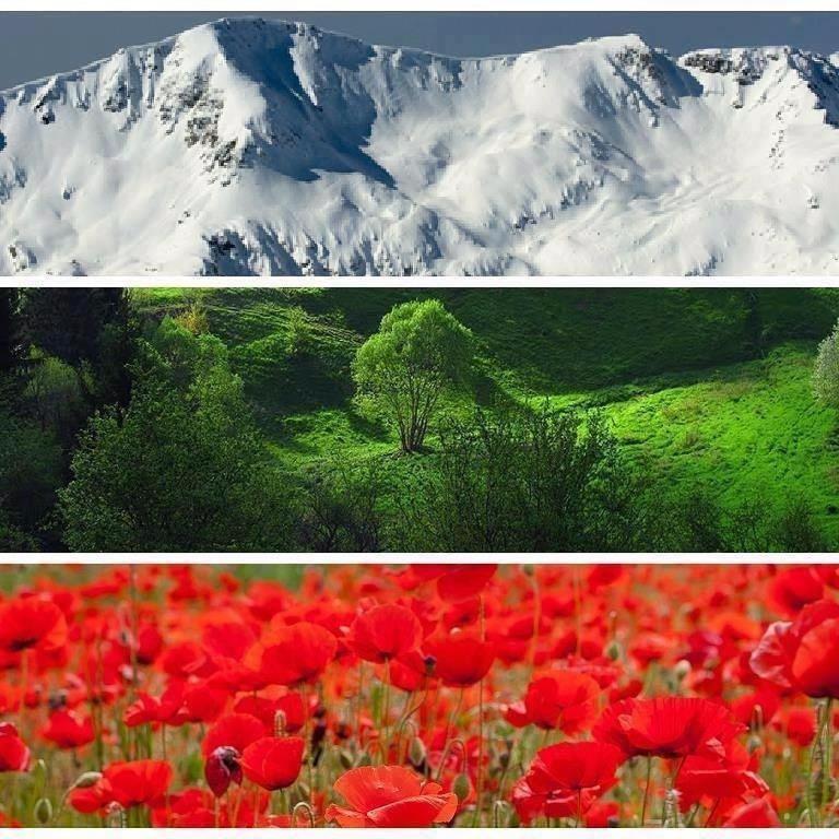 Апартаменти Ковачева-2 Bansko Exteriör bild